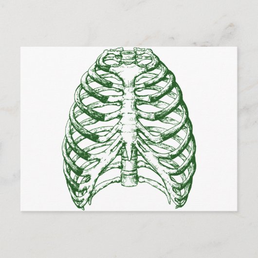 リブケージ ポストカード (正面)