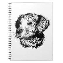 リブレタコンエスピラルデペロ