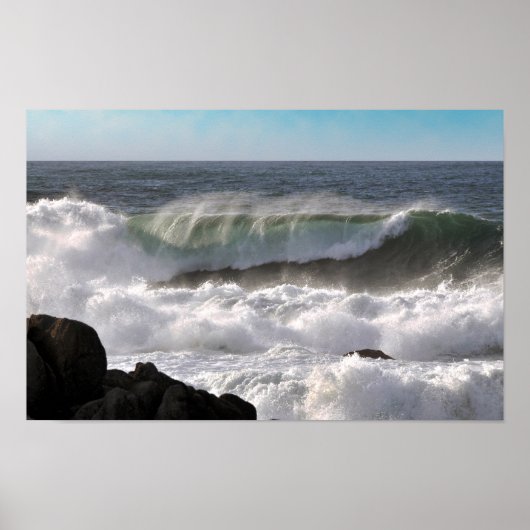 リプチドプリント ポスター (正面)