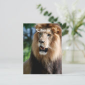 リベリアのライオン ポストカード (スタンド正面)