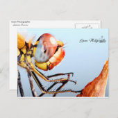 リベルルデプリエール ポストカード (正面/裏面)