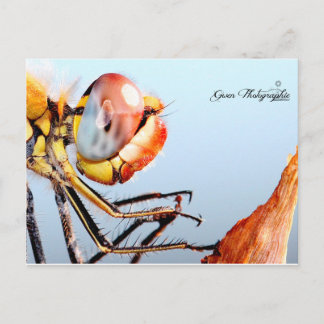 リベルルデプリエール ポストカード