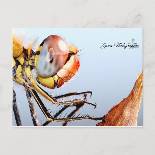 リベルルデプリエール ポストカード (正面)