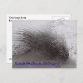 リホボスビーチの草のポストカード ポストカード (正面/裏面)