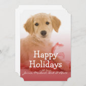 リボンを付けたゴール・レトリバー シーズンカード (正面/裏面)