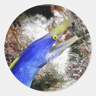 リボンウナギ ラウンドシール