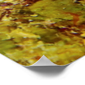 リボンウナギRhinomurena Quaesita Bernis Anel ポスター (角)