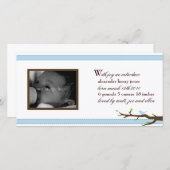 リボンエレガントのお知らせ 案内状 (正面/裏面)