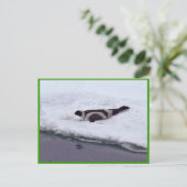 リボンシール ポストカード (スタンド正面)