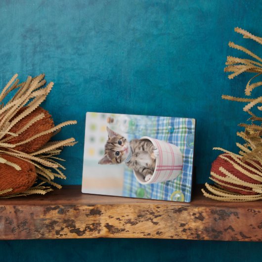 リボン付きマンチキンかわいらし子猫 フォトプラーク (側面)