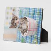 リボン付きマンチキンかわいらし子猫 フォトプラーク (側面)