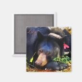 リボン磁石で黒いクマをリリー マグネット (正面/裏面)