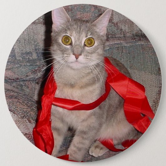 リボン 缶バッジ (正面)