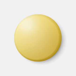 リマインダードット サン マグネット