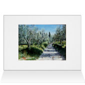 リマジオのオリーブの木 (内部横(上))