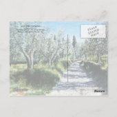 リマジオのオリーブの木 ポストカード (裏面)