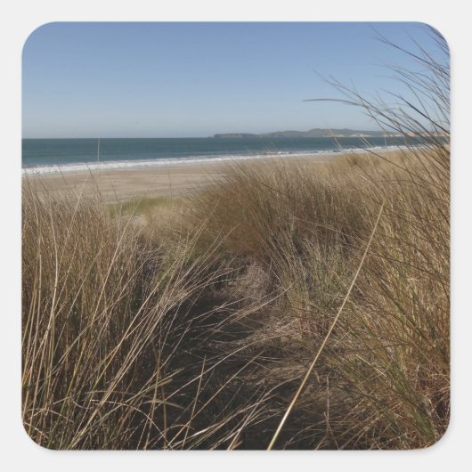 リマンツアービーチアットポイントレイズナショナルシーショアI スクエアシール (正面)