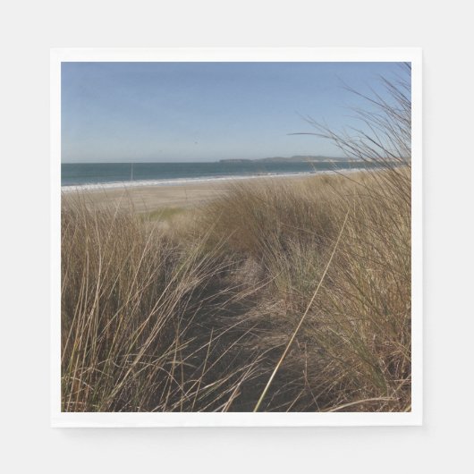 リマンツアービーチアットポイントレイズナショナルシーショアI スタンダードランチョンナプキン (正面)