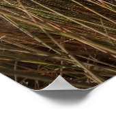 リマンツアービーチアットポイントレイズナショナルシーショアI ポスター (角)