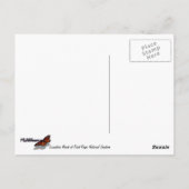 リマンツアービーチアットポイントレイズナショナルシーショアI ポストカード (裏面)