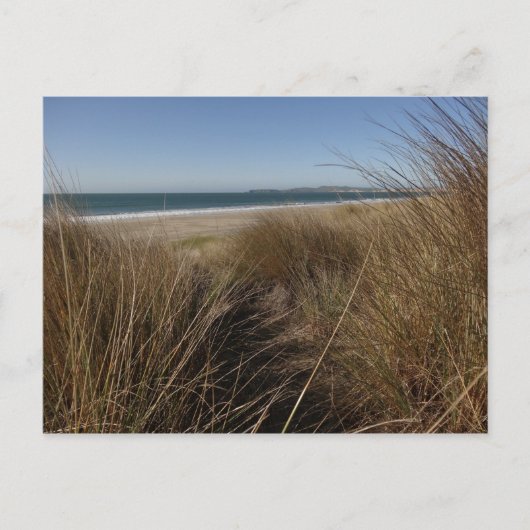 リマンツアービーチアットポイントレイズナショナルシーショアI ポストカード (正面)