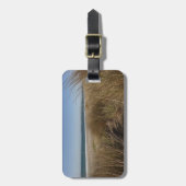 リマンツアービーチアットポイントレイズナショナルシーショアI ラゲッジタグ (正面縦)