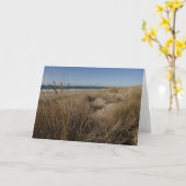 リマンツアービーチアットポイントレイズII カード (黄色い花)