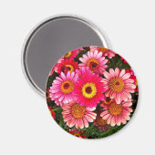 リムの円 マグネット (正面/裏面)