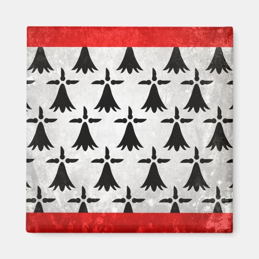 リムジン マグネット (正面)