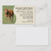 リムーザンの牛の牧場の子牛の写真 名刺 (正面/裏面)