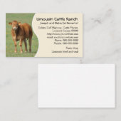 リムーザンの牛の牧場の子牛の写真 名刺 (正面/裏面)