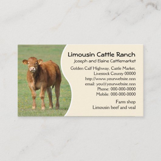 リムーザンの牛の牧場の子牛の写真 名刺 (正面)