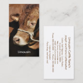 リムーザンの雄牛の名刺 名刺 (正面/裏面)