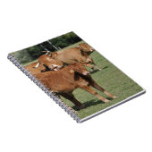 リムーザン子牛および牛 ノートブック (右側)