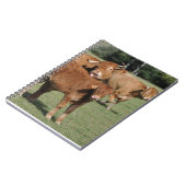 リムーザン子牛および牛 ノートブック (左側)