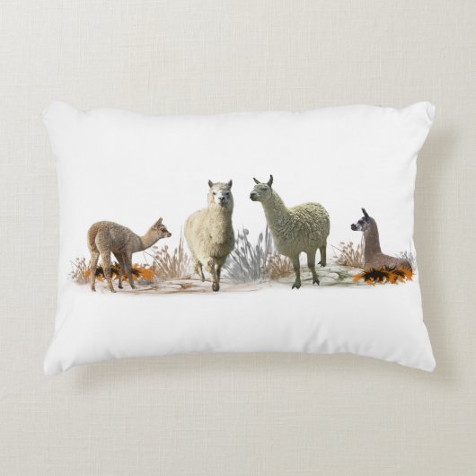 リャマの牧草地の枕(色をお選びください) アクセントクッション (正面)