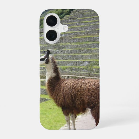 リャマ3 iPhone 16ケース (裏面)