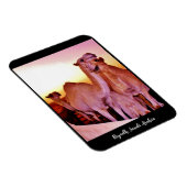 リヤド、サウジアラビア マグネット (右側)