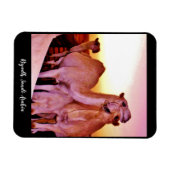 リヤド、サウジアラビア マグネット (横)