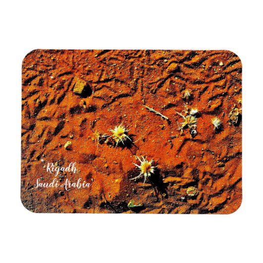 リヤド、サウジアラビア マグネット (横)