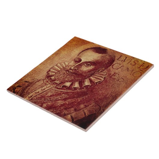 リュイスデカモス タイル (側面)