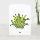 リュウゼツランの休日の挨拶状 シーズンカード (裏面)