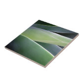 リュウゼツランの葉 タイル (側面)