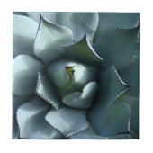 リュウゼツランの青 タイル (正面)