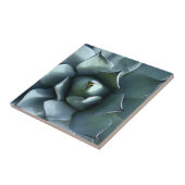 リュウゼツランの青 タイル (側面)