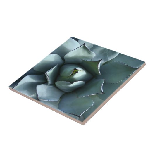 リュウゼツランの青 タイル (側面)