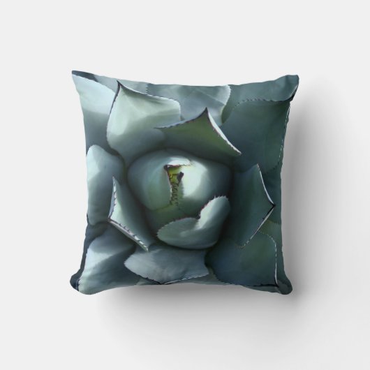 リュウゼツラン クッション (正面)