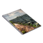 リュウゼツランTequilana ノートブック (右側)