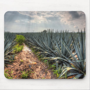 リュウゼツランTequilana マウスパッド