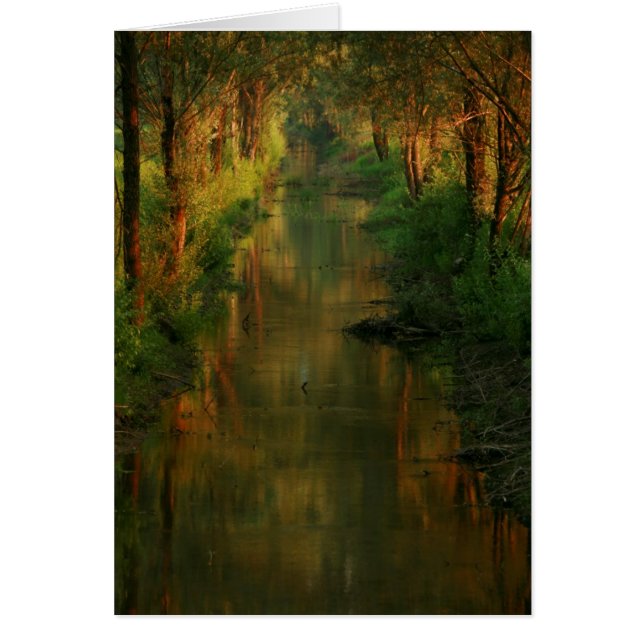 リュブヤナは繋ぎ止めます (正面)